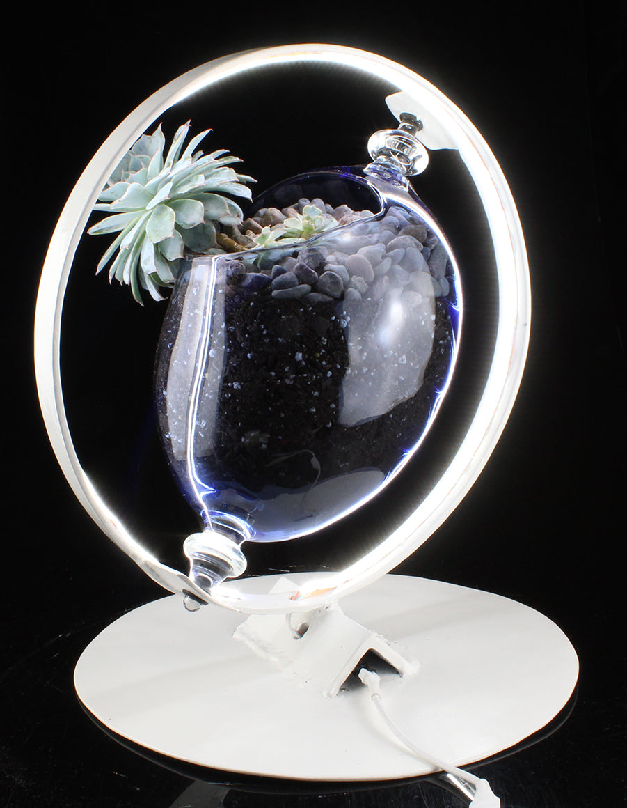 Ring Light with Succulent Planter