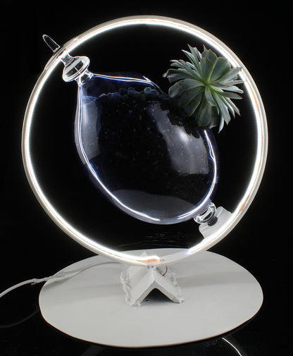 Ring Light with Succulent Planter