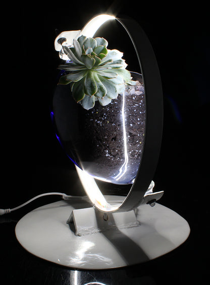 Ring Light with Succulent Planter