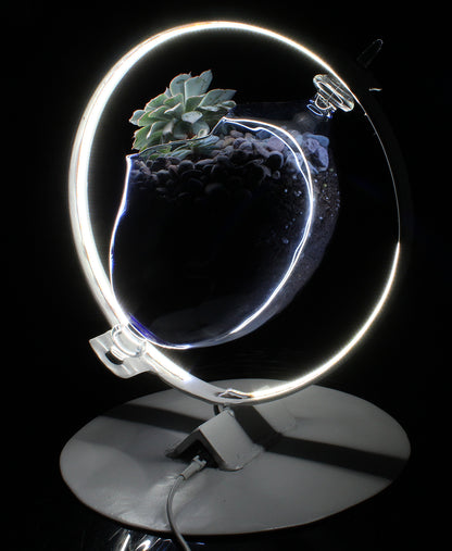 Ring Light with Succulent Planter