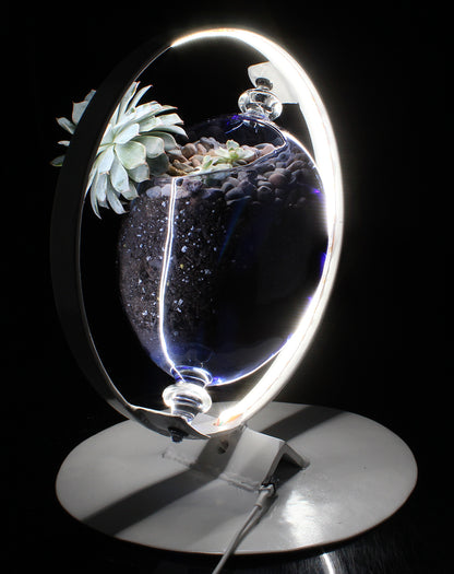 Ring Light with Succulent Planter